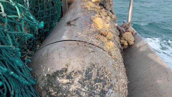 'Parachute Mine' in Devon, UK by Brixham Police - Sputnik International
