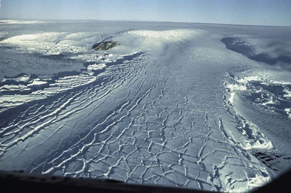 Blast From the Past: History of Antarctica Throughout the Years Blast From the Past: History of Antarctica Throughout the Years - Sputnik International