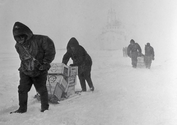Blast From the Past: History of Antarctica Throughout the Years Blast From the Past: History of Antarctica Throughout the Years - Sputnik International