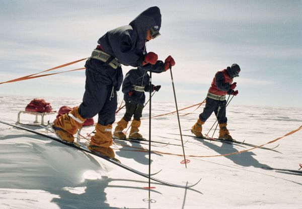Blast From the Past: History of Antarctica Throughout the Years Blast From the Past: History of Antarctica Throughout the Years - Sputnik International