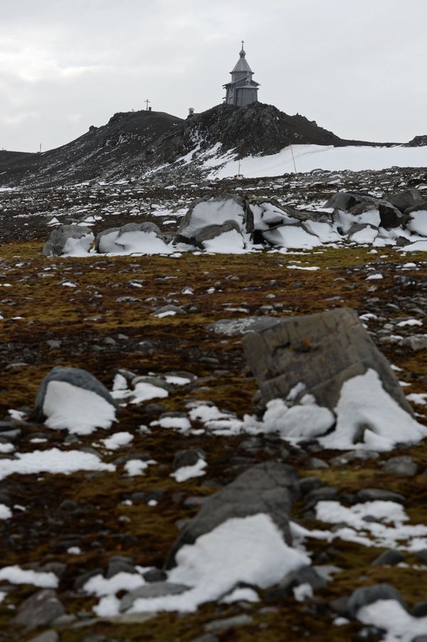 Blast From the Past: History of Antarctica Throughout the Years Blast From the Past: History of Antarctica Throughout the Years - Sputnik International