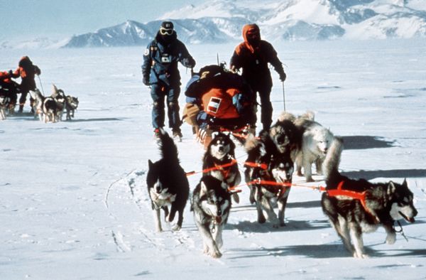 Blast From the Past: History of Antarctica Throughout the Years Blast From the Past: History of Antarctica Throughout the Years - Sputnik International