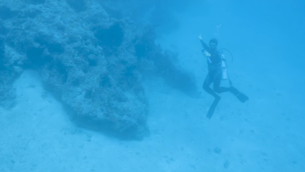 Local diver points toward aircraft suspected of being Amelia Earhart's Lockheed Electra 10E - Sputnik International