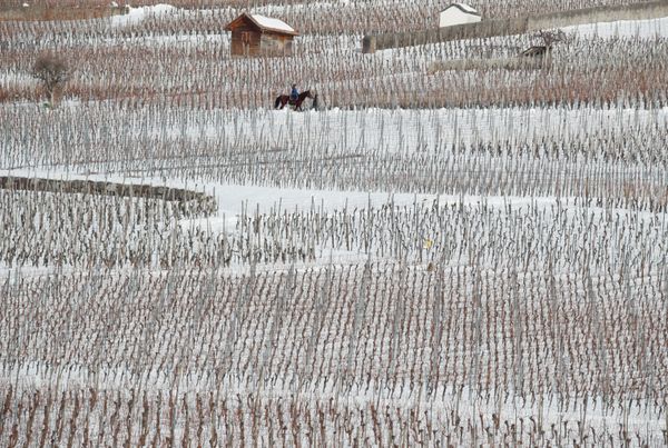 Breathtaking Winter Photos From Around the World Breathtaking Winter Photos From Around the World - Sputnik International