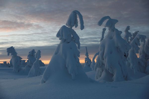 Breathtaking Winter Photos From Around the World Breathtaking Winter Photos From Around the World - Sputnik International