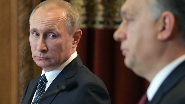 Russian President Vladimir Putin holds press conference with Hungarian Prime Minister Viktor Orban on February 2, 2017 Russian President Vladimir Putin holds press conference with Hungarian Prime Minister Viktor Orban on February 2, 2017 - Sputnik International
