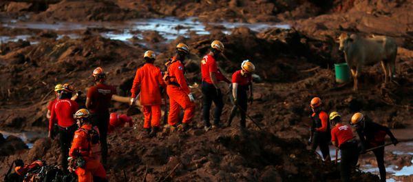 Members of a rescue team search for victims after a tailings dam owned by Brazilian mining company Vale SA collapsed, in Brumadinho, Brazil January 28, 2019 Members of a rescue team search for victims after a tailings dam owned by Brazilian mining company Vale SA collapsed, in Brumadinho, Brazil January 28, 2019 - Sputnik International