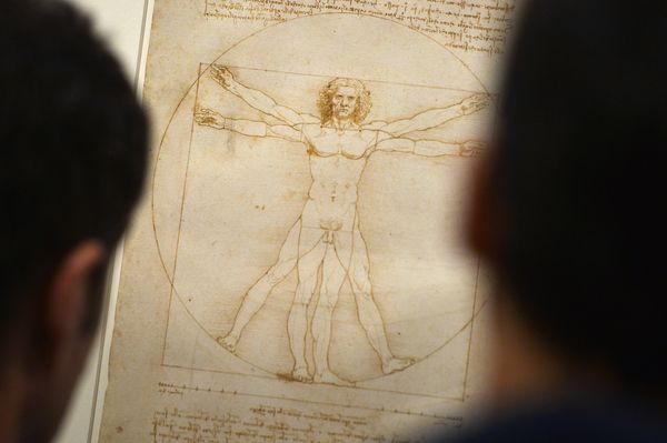 People viewing the Vitruvian Man drawing by Leonardo da Vinci in a Venice art gallery in 2013 People viewing the Vitruvian Man drawing by Leonardo da Vinci in a Venice art gallery in 2013 - Sputnik International