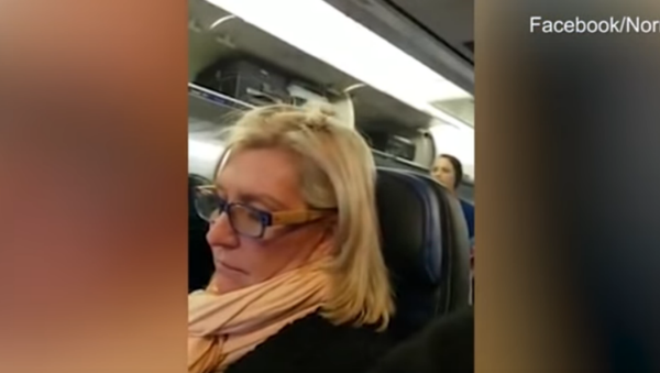 US Traveler Kicked Off Flight for Rant About Sitting Next to ‘Two Big Pigs’ - Sputnik International