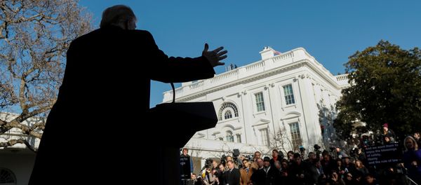 U.S. President Donald Trump U.S. President Donald Trump - Sputnik International