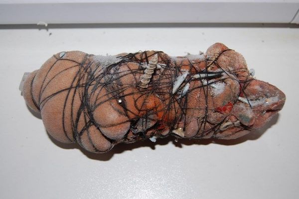Police found this cow's tongue - wrapped up and with several nails hammered through it - at the woman's home. It was linked to witchcraft Police found this cow's tongue - wrapped up and with several nails hammered through it - at the woman's home. It was linked to witchcraft - Sputnik International
