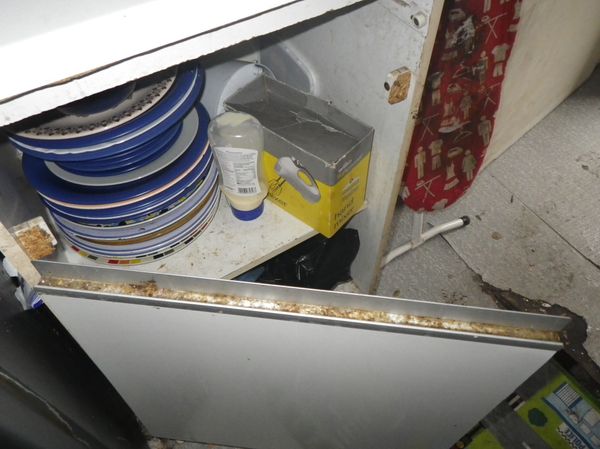 The girl's mother tried to claim she had injured herself falling on this cupboard door while looking for biscuits but there was no blood on it The girl's mother tried to claim she had injured herself falling on this cupboard door while looking for biscuits but there was no blood on it - Sputnik International