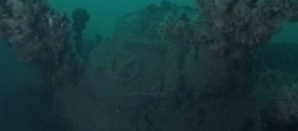 Hitler's Lost U-boat Flotilla Found in Black Sea - Sputnik International