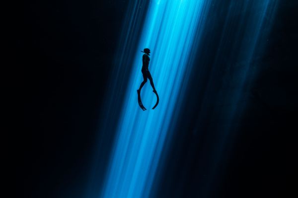 Light Beam Shot That Shows Freediver Ascending From the Bottom Won an Honorary Award in Underwater Art Category Light Beam Shot That Shows Freediver Ascending From the Bottom Won an Honorary Award in Underwater Art Category - Sputnik International