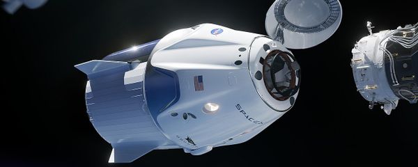 SpaceX Crew Dragon - Sputnik International