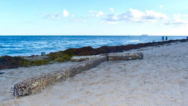 Giant Cross Washes Ashore Florida Beach - Sputnik International