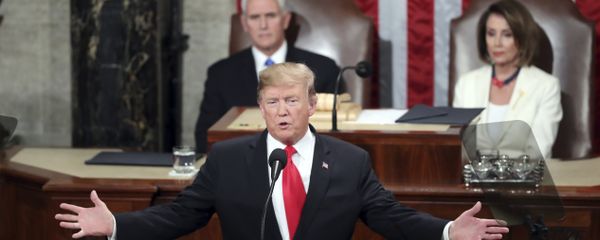 President Donald Trump delivers his State of the Union address to a joint session of Congress on Capitol Hill in Washington President Donald Trump delivers his State of the Union address to a joint session of Congress on Capitol Hill in Washington - Sputnik International