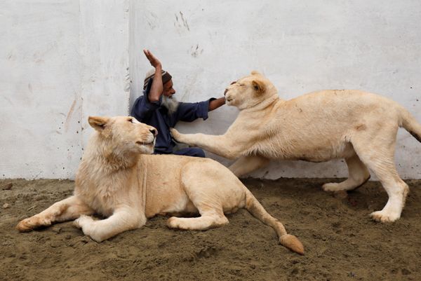 This Week in Pictures: 2 - 8 February This Week in Pictures: 2 - 8 February - Sputnik International
