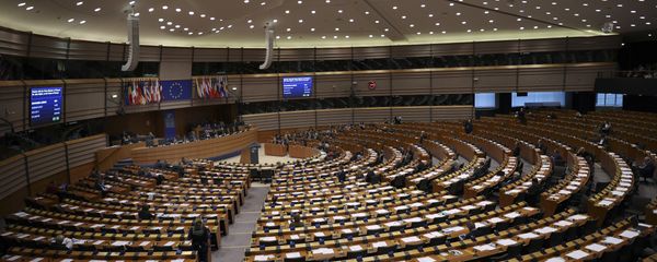 European Parliament members attend a plenary session at the European Parliament in Brussels, Thursday, Jan. 31, 2019 European Parliament members attend a plenary session at the European Parliament in Brussels, Thursday, Jan. 31, 2019 - Sputnik International