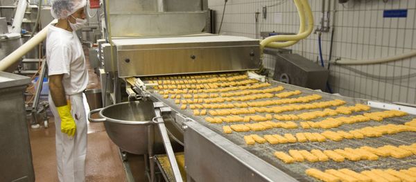 Fish stick production. File photo. Fish stick production. File photo. - Sputnik International