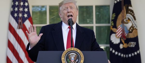 US President Donald Trump - Sputnik International