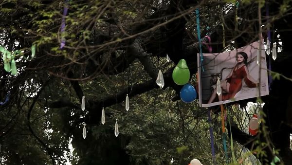 Virgin tree at Hindu College: Delhi college students pray to lose virginity here - Sputnik International
