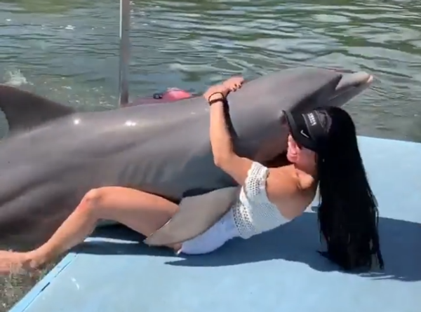 Dolphin Surprises a Girl - Sputnik International