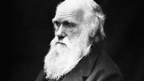 Charles Darwin Charles Darwin - Sputnik International