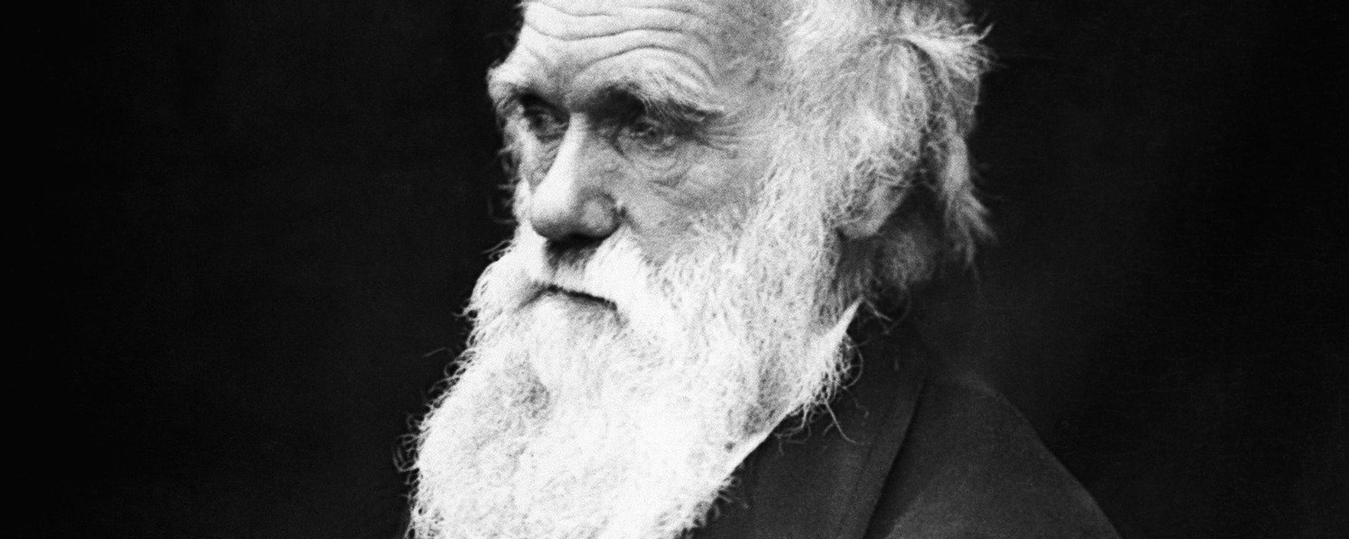 Charles Darwin Charles Darwin - Sputnik International, 1920, 06.02.2022