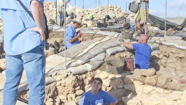 Dr Scott Stripling oversees archaeological work - Sputnik International
