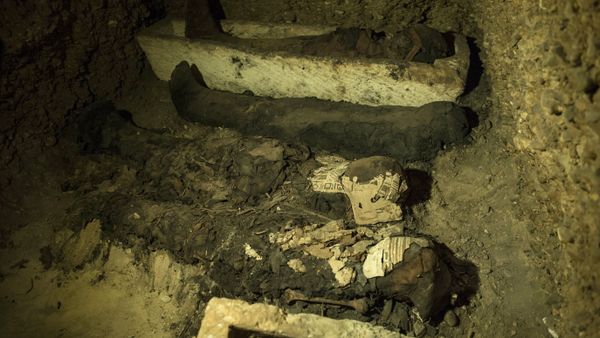 Mummies and other artifacts lie in a recently discovered burial chamber in the desert province of Minya, south of Cairo, Egypt, Saturday, Feb. 2, 2019 - Sputnik International