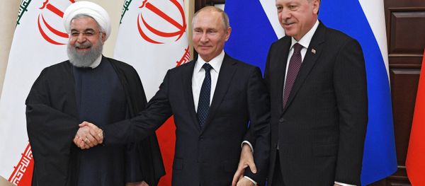 Рабочая поездка президента РФ В. Путина  в Сочи - Sputnik International