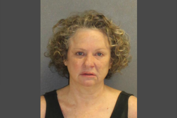Mugshot of Julie Edwards, who was  charged with driving under the influence, resisting an officer without violence, making threats against a law enforcement officer and refusing to submit for testing. - Sputnik International