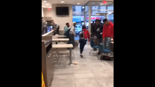 People scream and run as a prankster drops a white rat from a cage onto the floor of a crowded McDonald's in Newark, New Jersey - Sputnik International