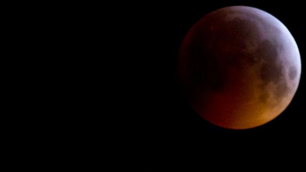 The Super Blood Wolf Moon eclipse in Antwerp, Belgium, Monday, Jan. 21, 2019. The eclipse takes place when the full moon is at or near the closest point in its orbit to Earth, a time popularly known as a supermoon. This means the Moon is deeper inside the umbra shadow and therefore may appear darker. - Sputnik International