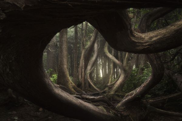Most Beautiful Places: The International Landscape Photographer of the Year 2018 - Sputnik International
