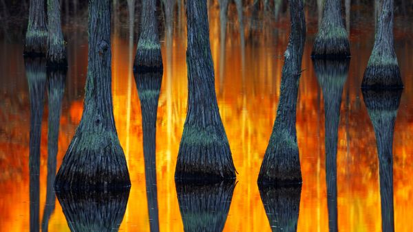 Most Beautiful Places: The International Landscape Photographer of the Year 2018 - Sputnik International