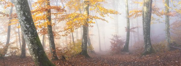 Most Beautiful Places: The International Landscape Photographer of the Year 2018 - Sputnik International