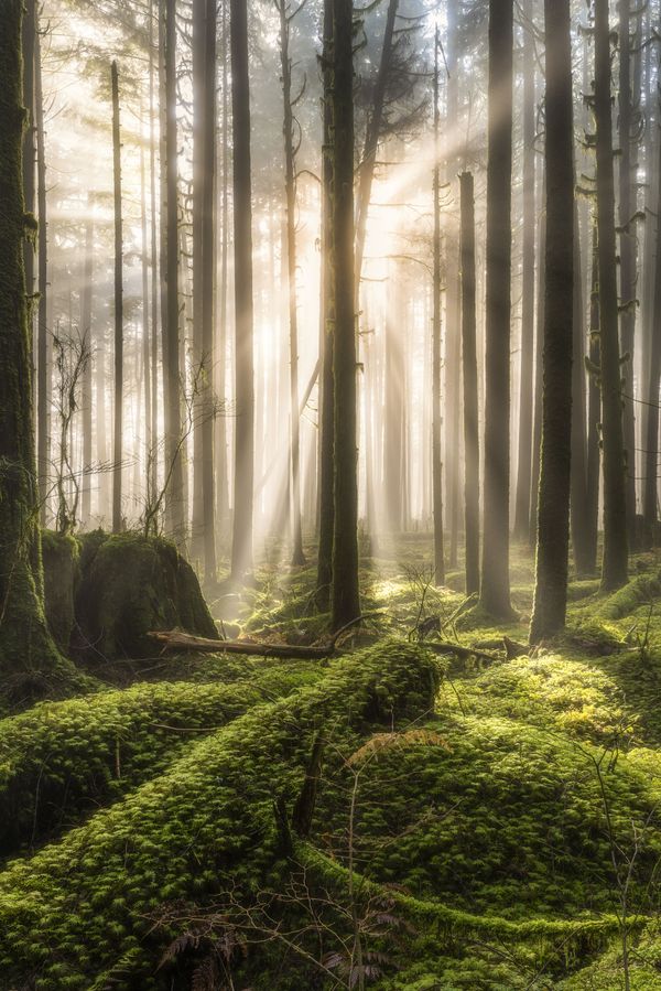 Most Beautiful Places: The International Landscape Photographer of the Year 2018 - Sputnik International