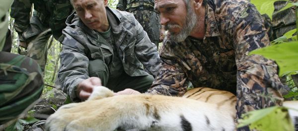 Prime Minister Vladimir Putin during a visit to the Ussurisky nature reserve in the Russian Far East, 2008 Prime Minister Vladimir Putin during a visit to the Ussurisky nature reserve in the Russian Far East, 2008 - Sputnik International