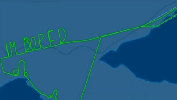 Pilot Spells Out He is Bored - Sputnik International