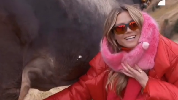 Heidi Klum Milks a Cow - Sputnik International