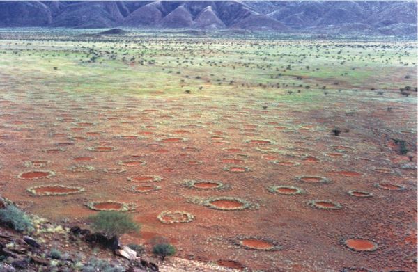 Riddle of Mysterious ‘Fairy Circles’ in Australian Desert Solved Using 1950's Alan Turing Theory - Sputnik International