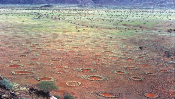 “Fairy circles” in Namibia “Fairy circles” in Namibia - Sputnik International