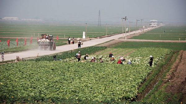 Migok Farm. Sariwŏn, North Korea - Sputnik International