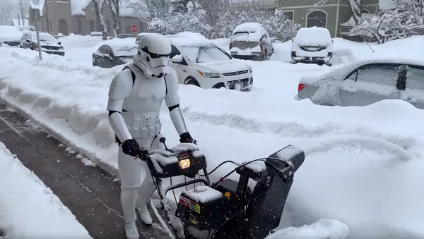 Darth Landscapers? Stormtrooper Spotted in Quite Uncommon Career Change - Sputnik International
