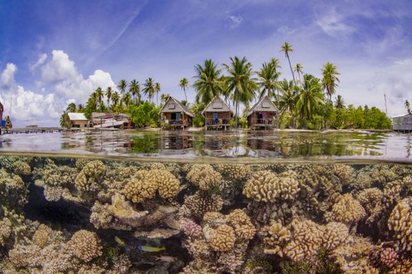 Under the Sea: Underwater Photographer of the Year 2019 Under the Sea: Underwater Photographer of the Year 2019 - Sputnik International