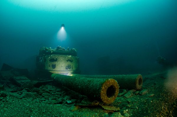 Under the Sea: Underwater Photographer of the Year 2019 Under the Sea: Underwater Photographer of the Year 2019 - Sputnik International