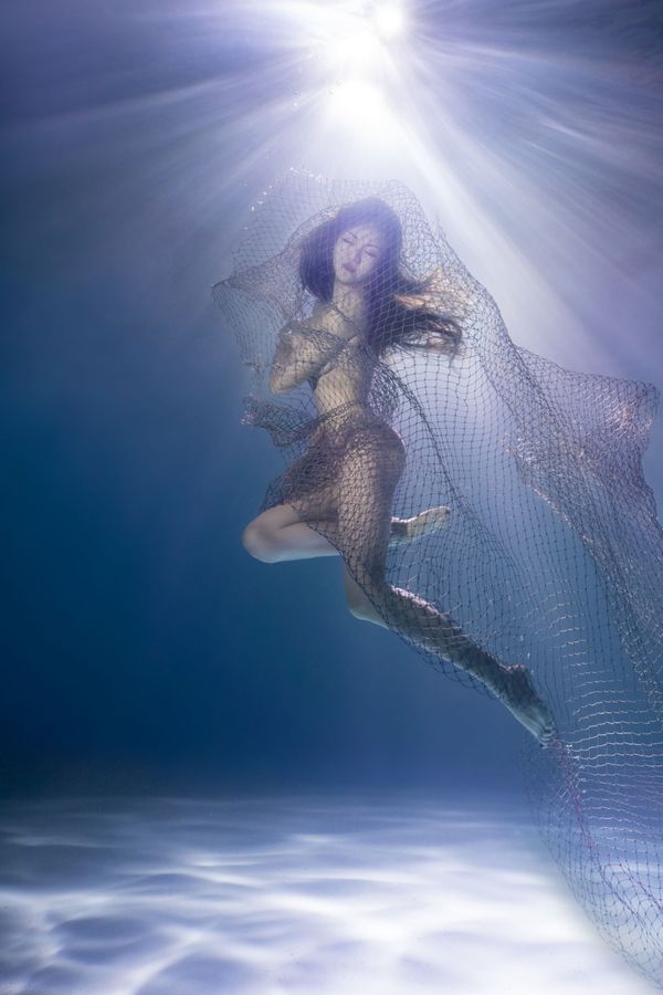 Under the Sea: Underwater Photographer of the Year 2019 Under the Sea: Underwater Photographer of the Year 2019 - Sputnik International