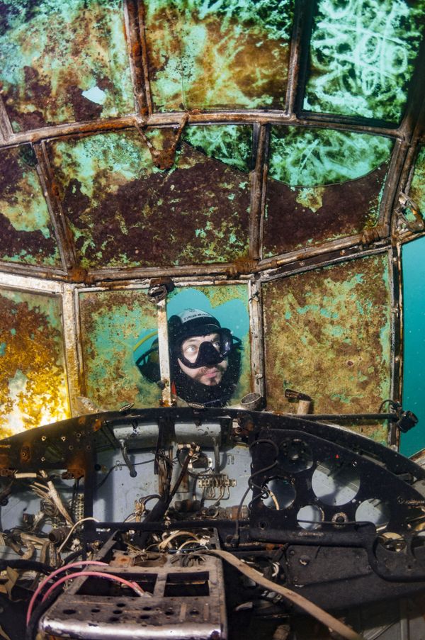 Under the Sea: Underwater Photographer of the Year 2019 Under the Sea: Underwater Photographer of the Year 2019 - Sputnik International